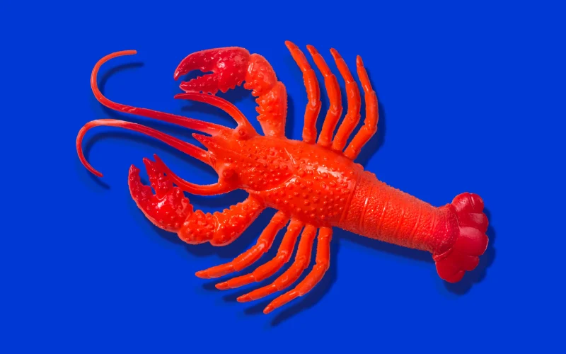 Anthropic Aumenta Custos para Usuários do Claude Code com Ferramentas de Terceiros: O Fim da Gratuidade para OpenClaw?