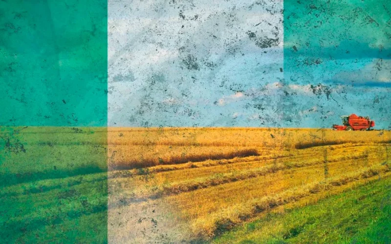 Boa Safra Expande Fronteiras: Sementeira Brasileira Investe Alto e Forma Joint Venture Estratégica na Nigéria com Foco em Alto Rendimento