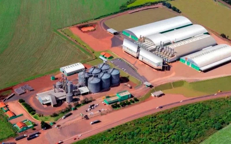 Juiz concede respiro à Belagrícola: 180 dias de blindagem contra dívidas e crítica a credores