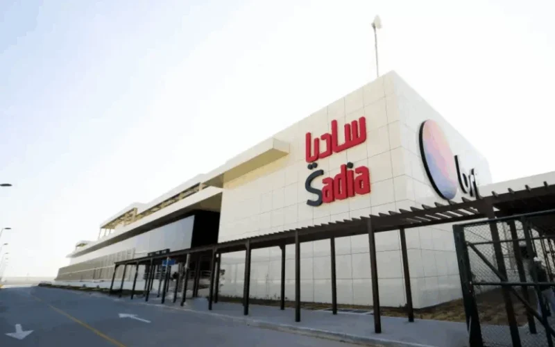 MBRF Dobra Acordo com Arábia Saudita e Inclui Carne Bovina: O Que Isso Significa Para o Mercado?