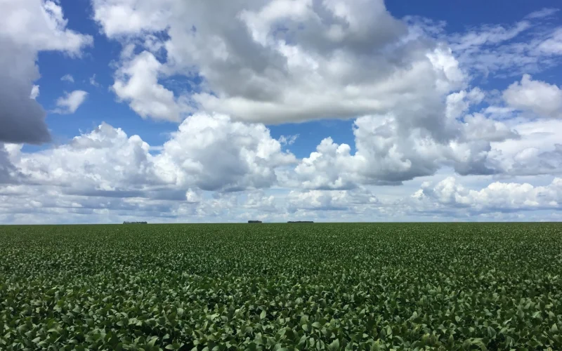 EUA Investigam Alta de Fertilizantes: Agricultores São Chamados para Revelar Verdade por Trás dos Preços Abusivos