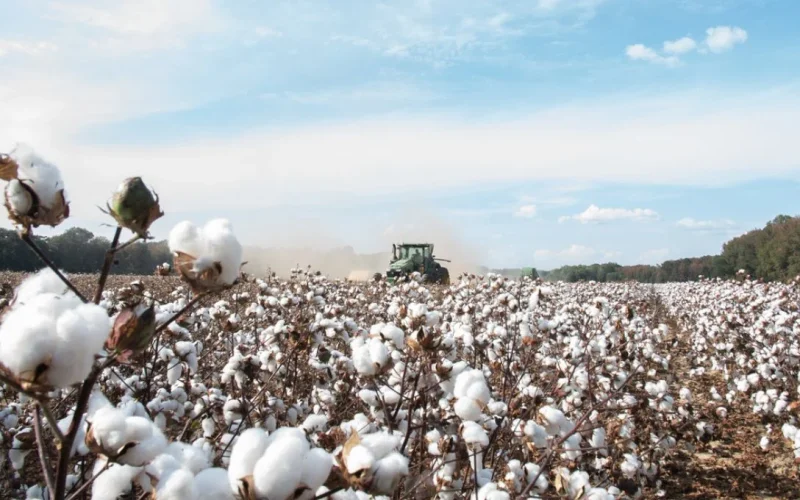 BrasilAgro (AGRO3) Rescinde Venda de Fazenda na Bahia Após Inadimplência e Recuperação Judicial de Comprador