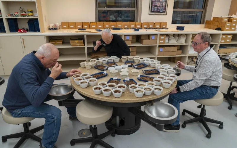 A Elite dos Provadores de Café: A Equipe Secreta Que Define o Futuro do Arábica Global e Seus Desafios de Sucessão