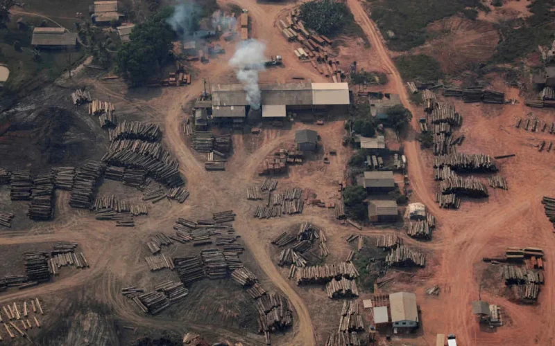 BR-319: A Rodovia da Discórdia que Promete Revolucionar Logística Amazônica com Investimento de R$ 1,4 Bilhão
