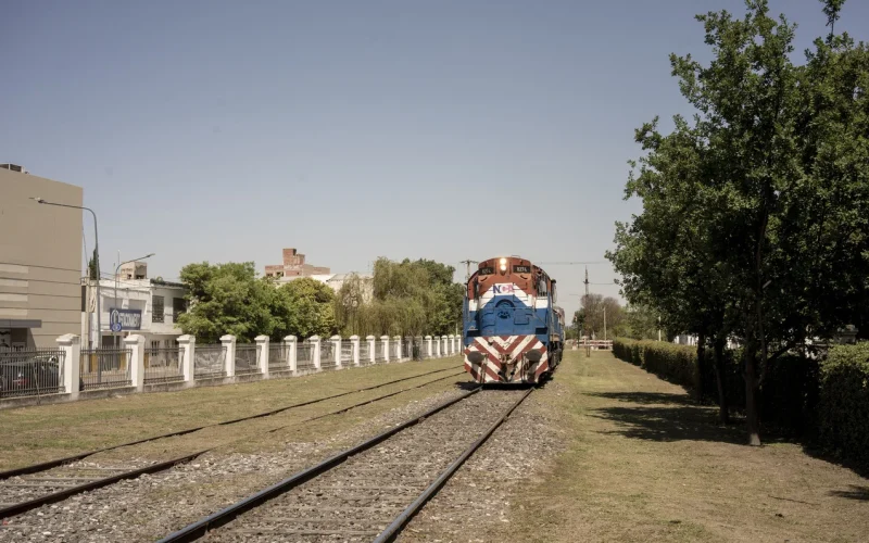 Privatização de Ferrovias na Argentina: O Novo Desafio de Milei e o Risco de Fracasso Econômico
