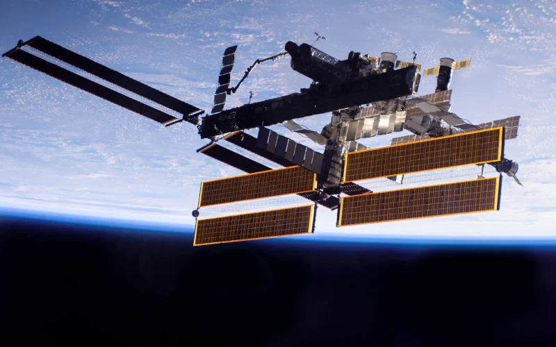 Bactérias Espelho e Duplos de IA: A Revolução Tecnológica Que Ameaça e Transforma o Mercado de Trabalho Global