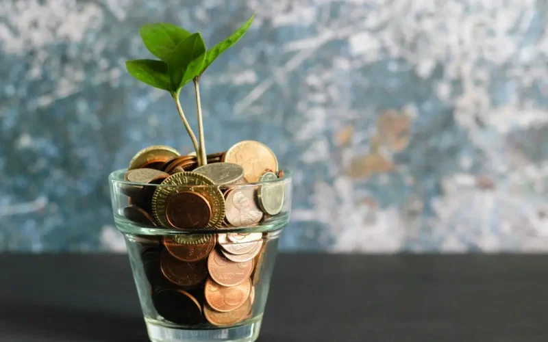 Fundos de Renda Fixa Pagam 1% em 2 Semanas: É Hora de Entrar ou Fugir da Volatilidade?