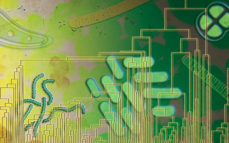 Descoberta Inédita: Vida Utilizou Oxigênio Milhões de Anos Antes do Previsto, Revolucionando a História da Evolução Terrestre