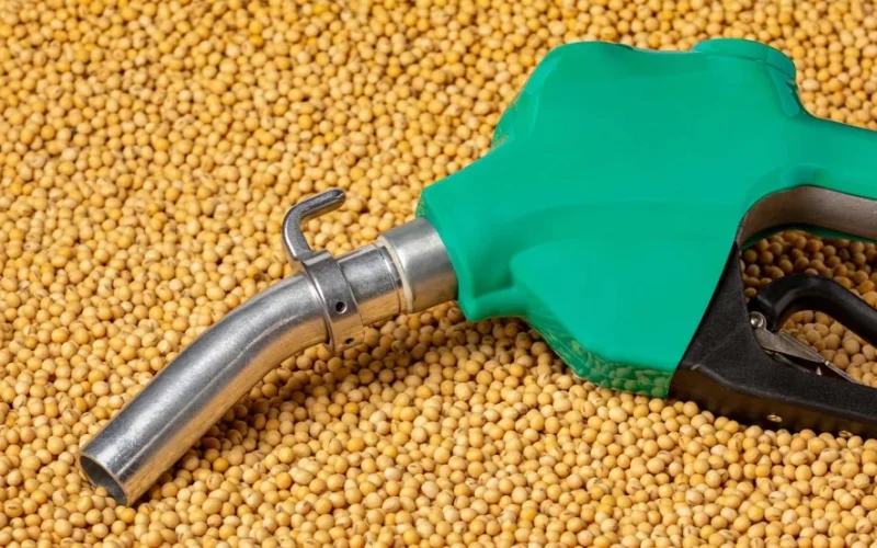 Biodiesel: A Aliada Contra a Crise do Petróleo Que Garante Economia e Sustentabilidade no Brasil