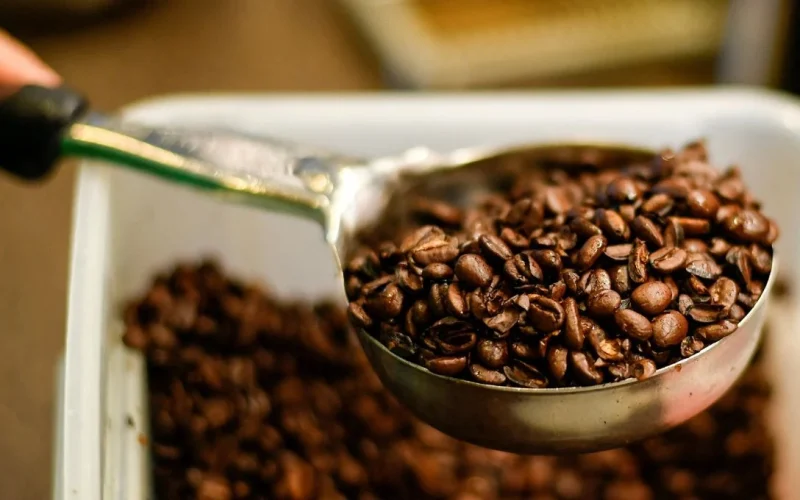 Café Robusta Renasce: Fluxos Reduzidos Impulsionam Preços Acima das Mínimas de 8 Meses, Arábica e Cacau Também Avançam