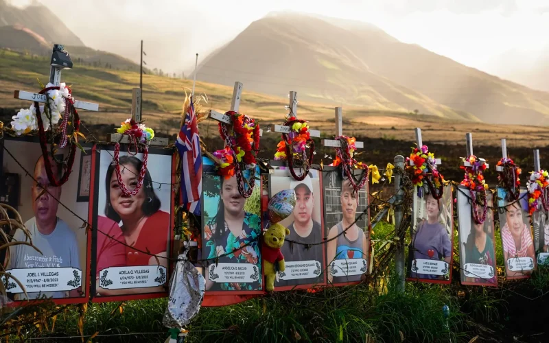 Natureza e Tecnologia: Como a IA e a Fusão Nuclear Moldam um Futuro Incerto e Oportunidades Financeiras
