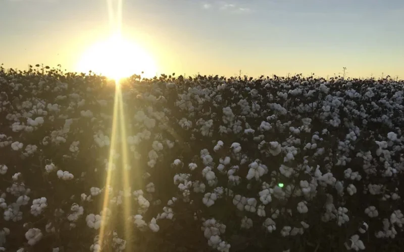Agrorobótica Capta R$ 10,8 Milhões da VOX Capital para Revolucionar Créditos de Carbono no Solo Brasileiro