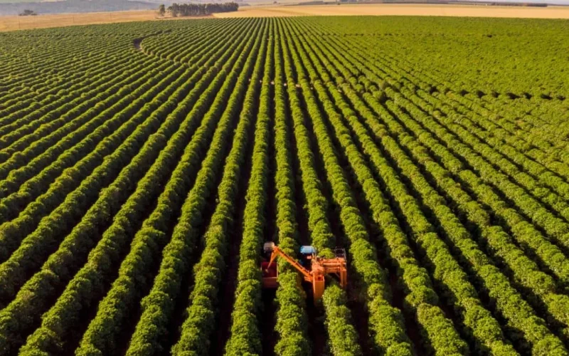 Agrishow 2024: Banco do Brasil Supera R$ 3 Bilhões em Crédito para o Agro e Sinaliza Resiliência do Setor
