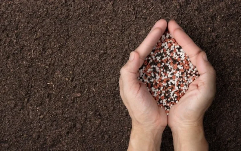 Crise de Fertilizantes no Brasil: Custos Disparam 35% e Ameaçam Preços de Alimentos em Cenário Complexo